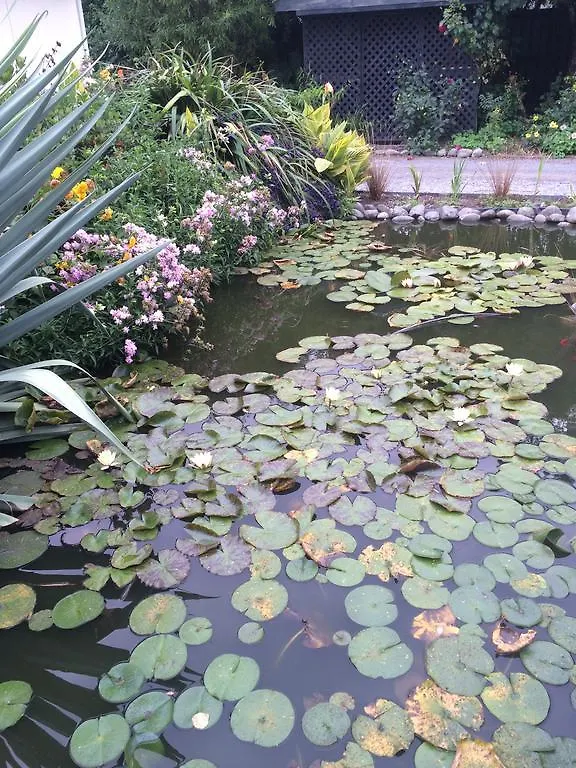 Water Lily Garden Bed & Breakfast Christchurch 3*,  New Zealand