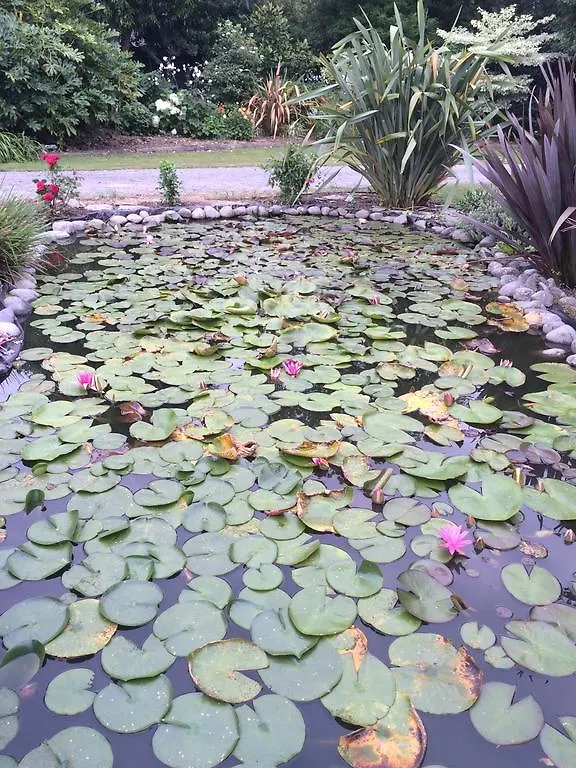 Water Lily Garden Bed & Breakfast Christchurch